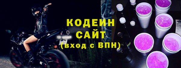 ECSTASY Ельня