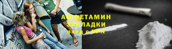 ECSTASY Ельня