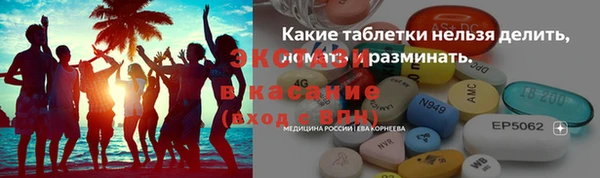 ECSTASY Ельня