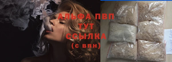 ECSTASY Ельня