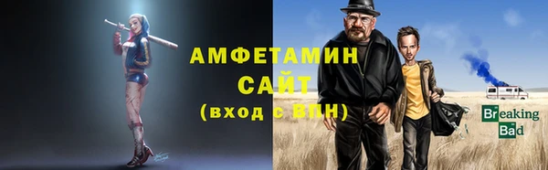 ECSTASY Ельня