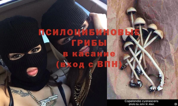 альфа пвп Елизово